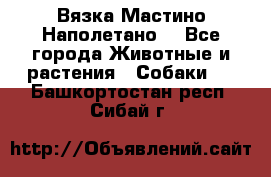 Вязка Мастино Наполетано  - Все города Животные и растения » Собаки   . Башкортостан респ.,Сибай г.